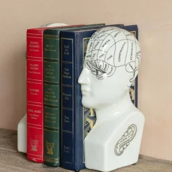 Graham & Green Antiqued Phrenology Head Bookends