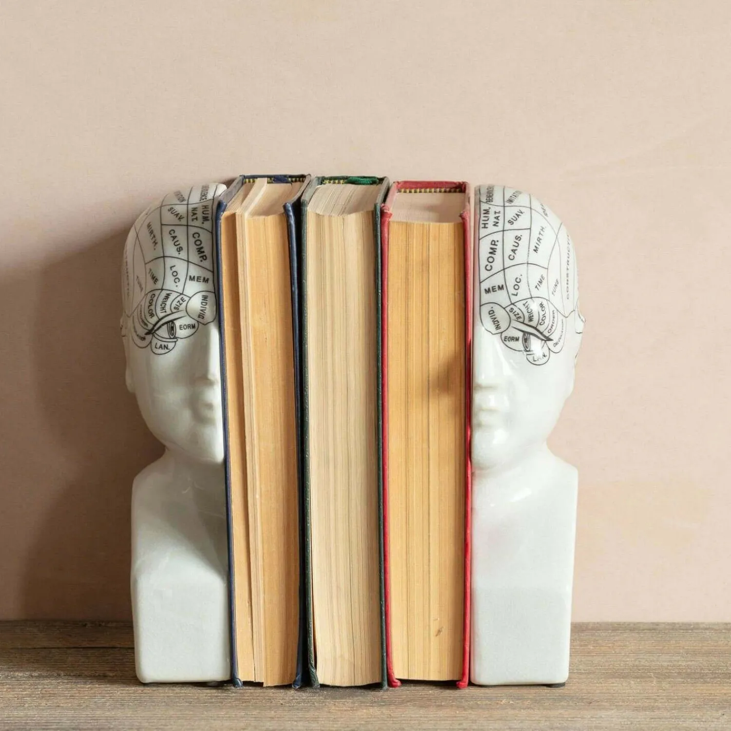 Graham & Green Antiqued Phrenology Head Bookends
