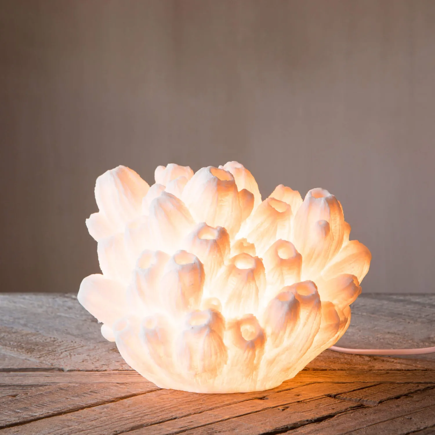 Graham & Green Arbuscular Coral Lamp