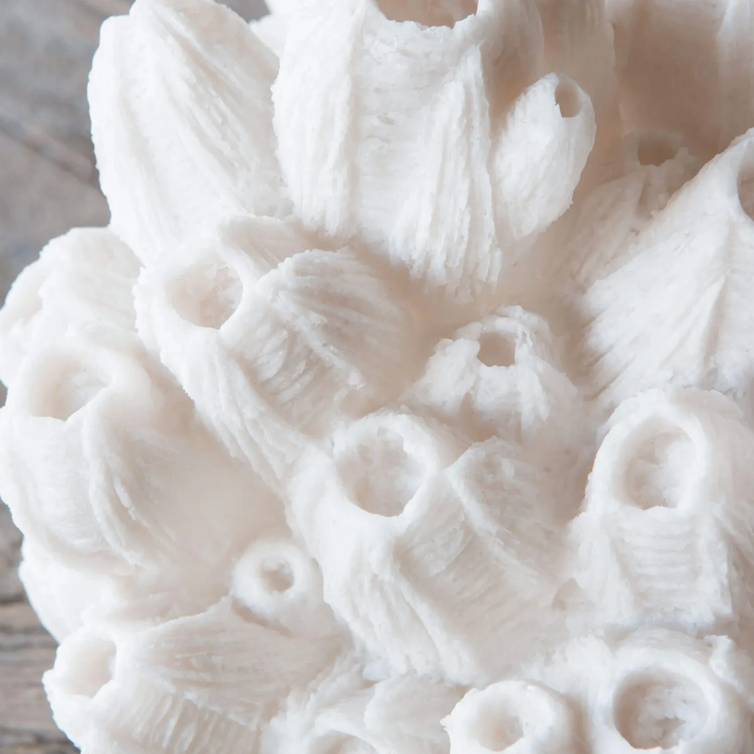 Graham & Green Arbuscular Coral Lamp