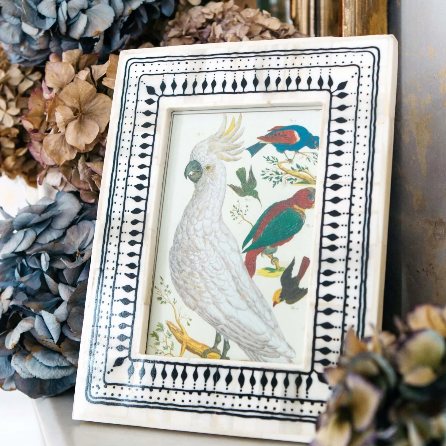 Graham & Green Black and White Print Bone Frame