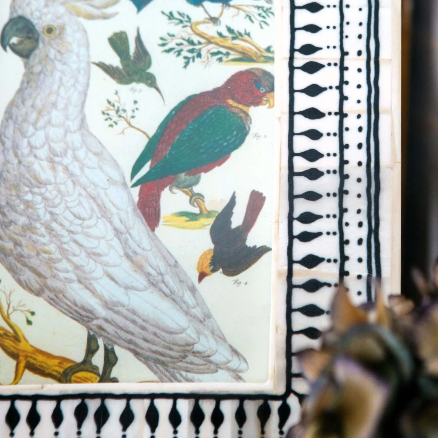 Graham & Green Black and White Print Bone Frame