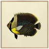 Graham & Green Black Fish Print with Oak Frame