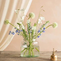 Graham & Green Broadwell Clear Glass Vases