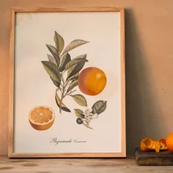 Graham & Green Crowned Bitter Orange Print with Oak Frame