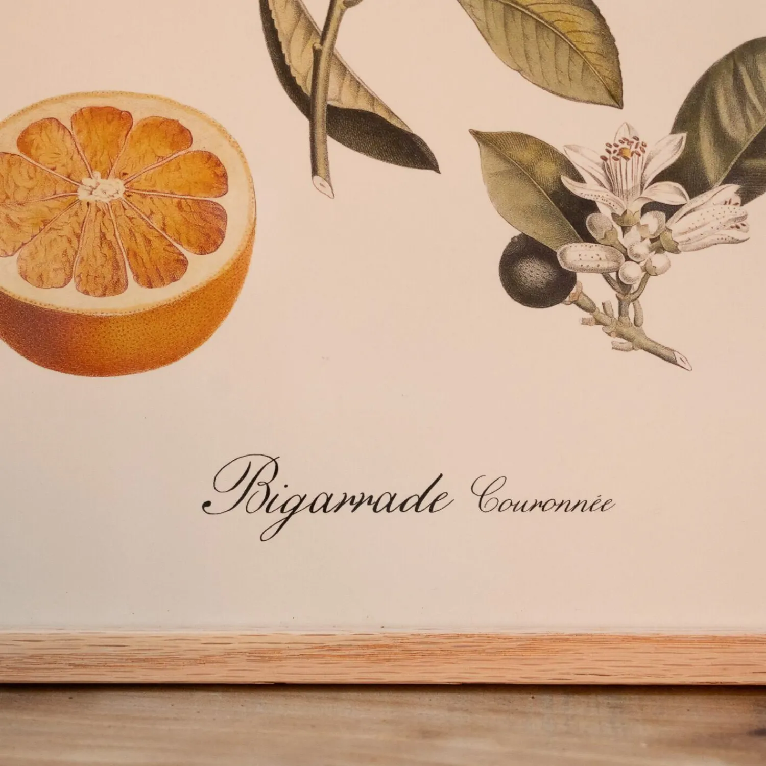 Graham & Green Crowned Bitter Orange Print with Oak Frame