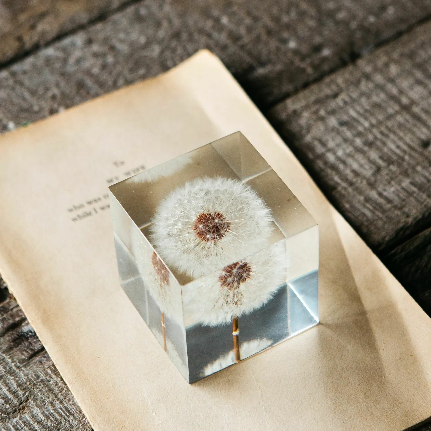 Graham & Green Dandelion Paperweight