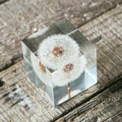 Graham & Green Dandelion Paperweight