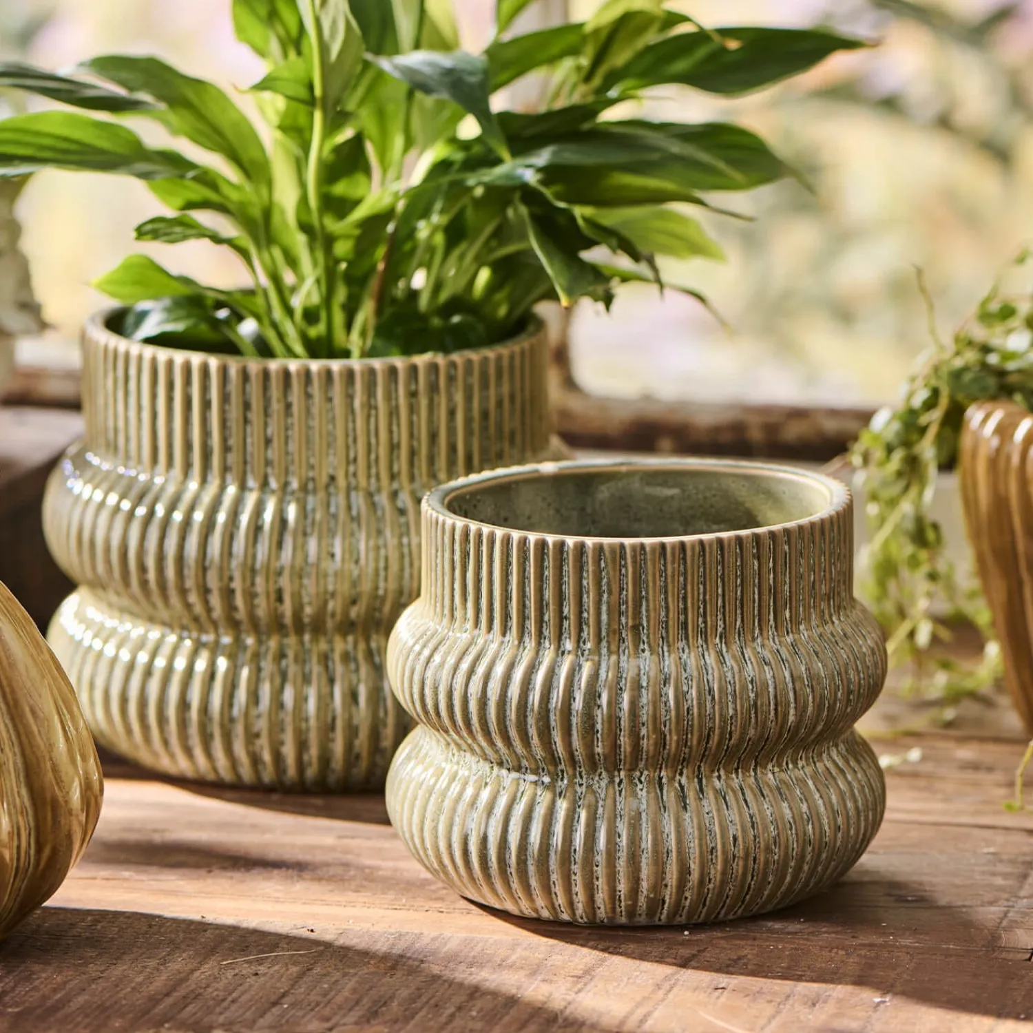 Graham & Green Distressed Green Fluted Plant Pots