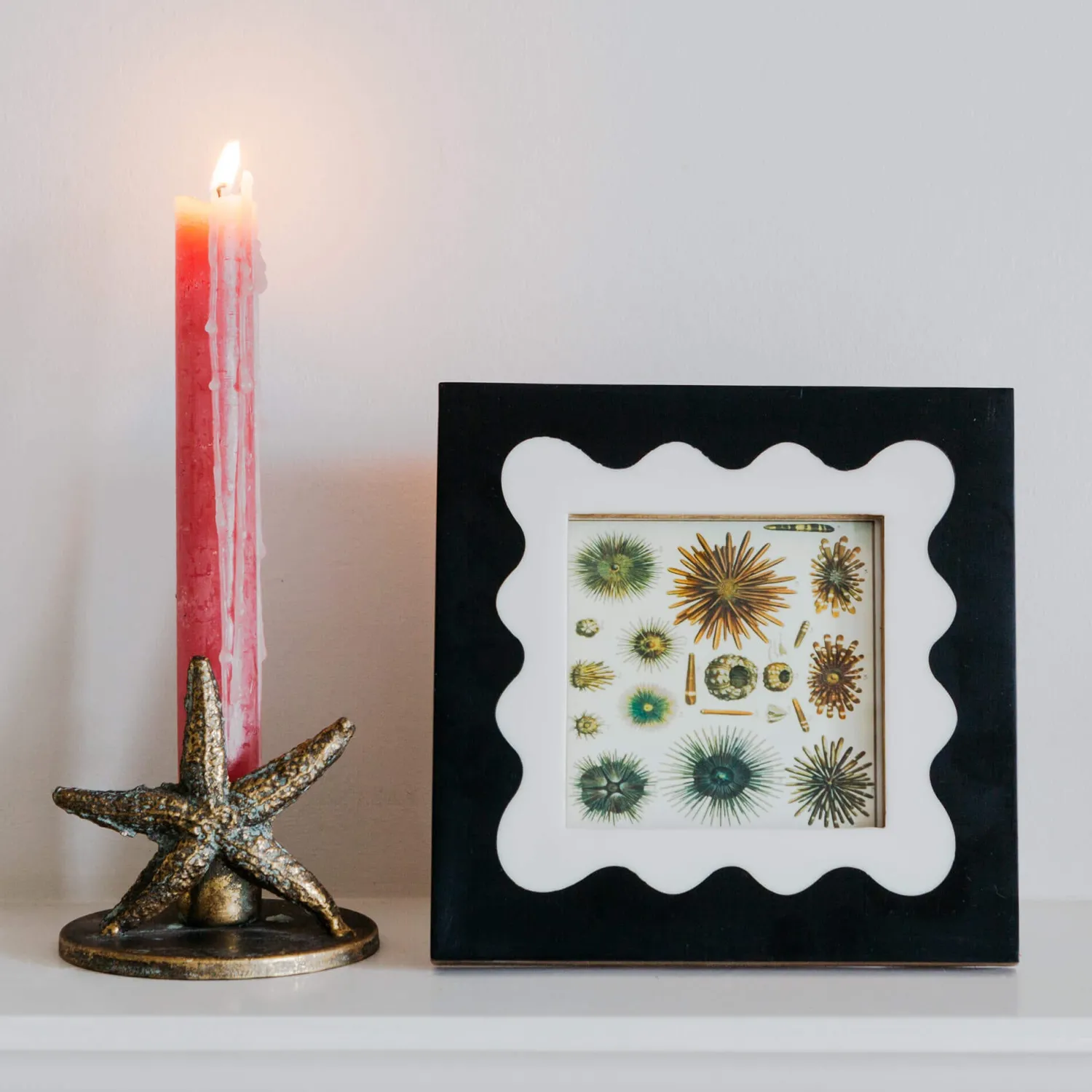 Graham & Green Extra Small Mont Blanc Black and White Frame