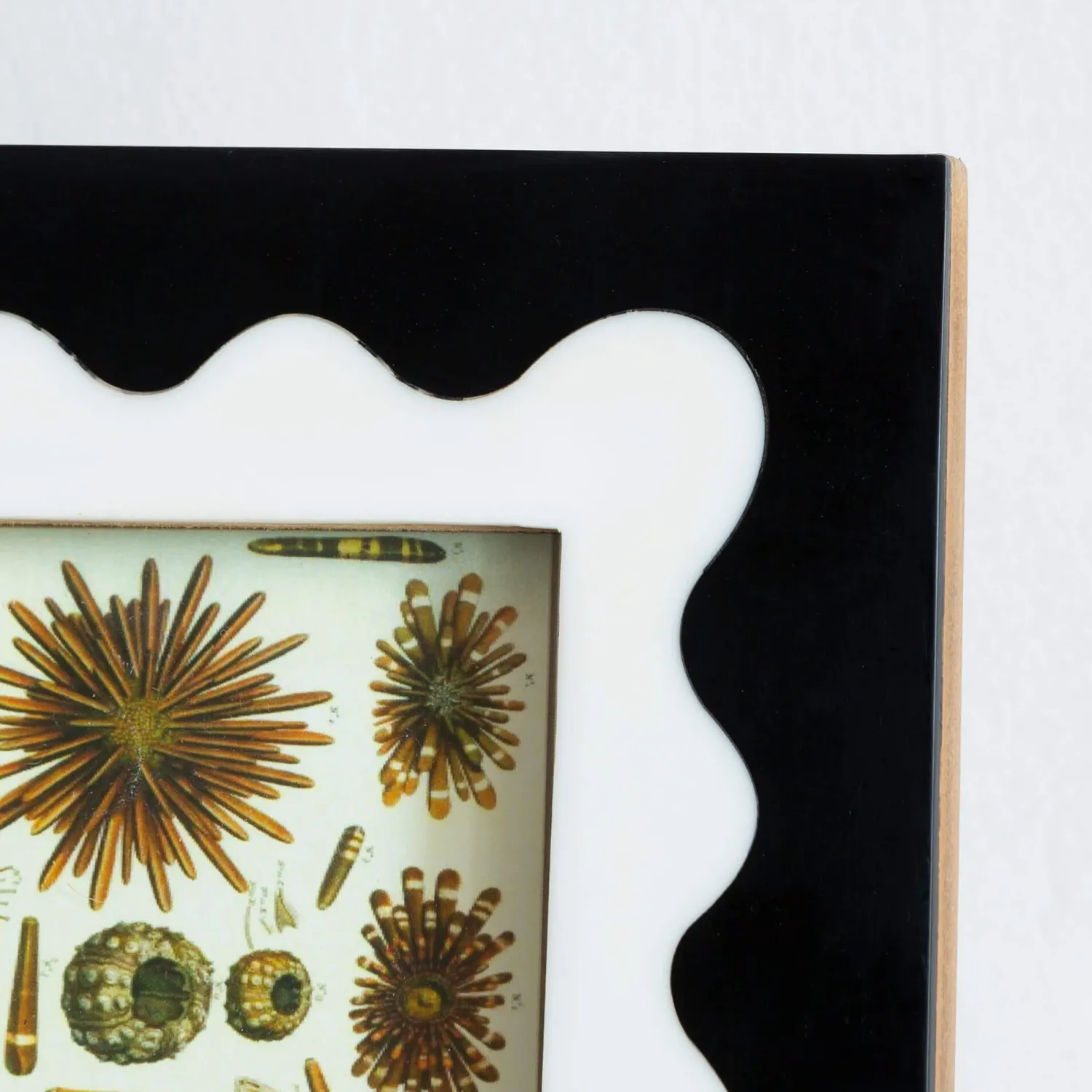 Graham & Green Extra Small Mont Blanc Black and White Frame