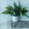 Graham & Green Faux Fern Grass in Pot