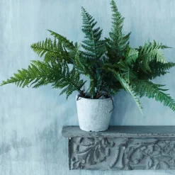 Graham & Green Faux Fern Grass in Pot