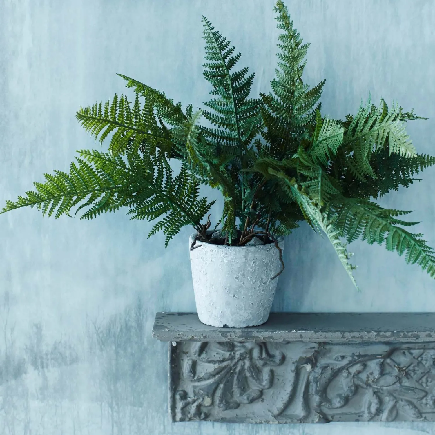 Graham & Green Faux Fern Grass in Pot