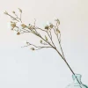 Graham & Green Faux Ivory Magnolia Branch