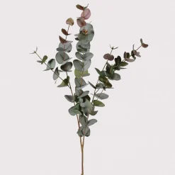 Graham & Green Faux Peach Tint Eucalyptus Spray
