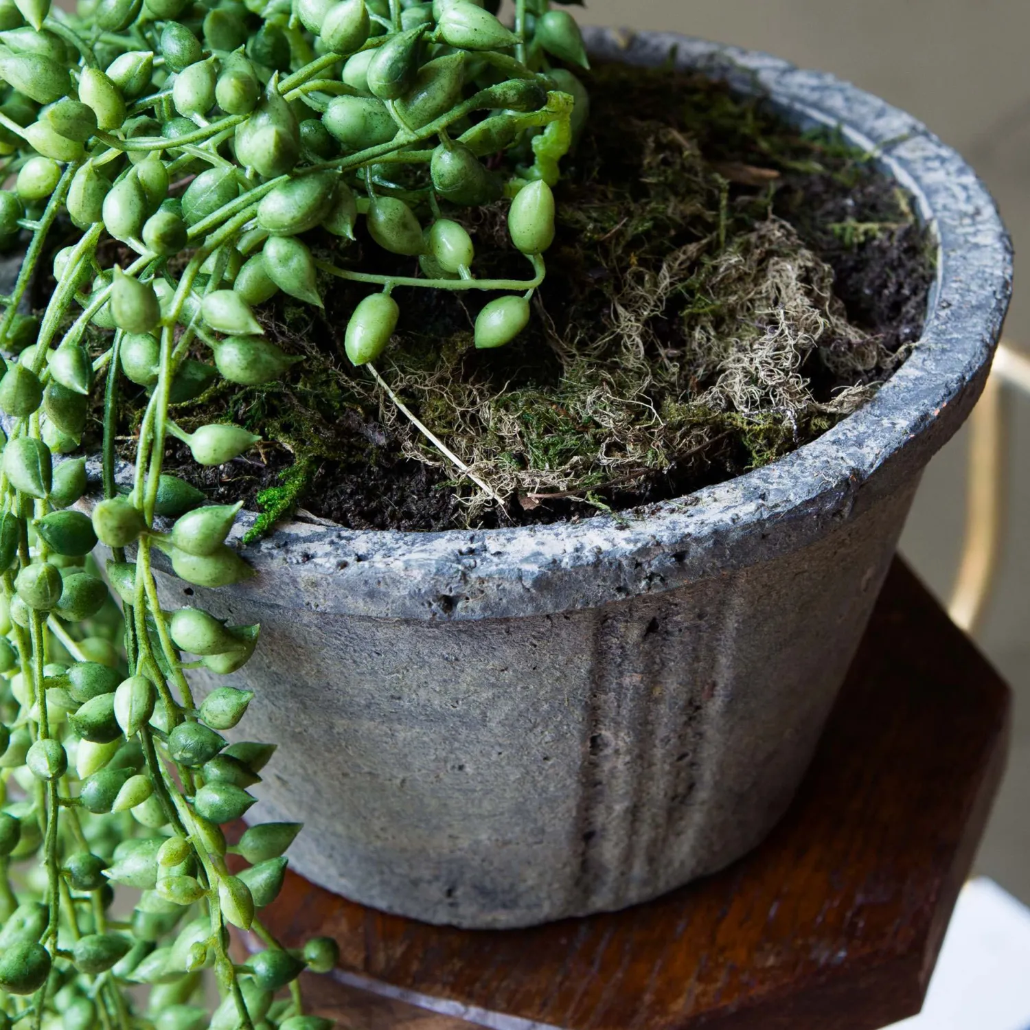 Graham & Green Faux String of Pearls in Pot