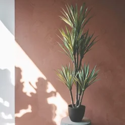 Graham & Green Faux Yucca Plant