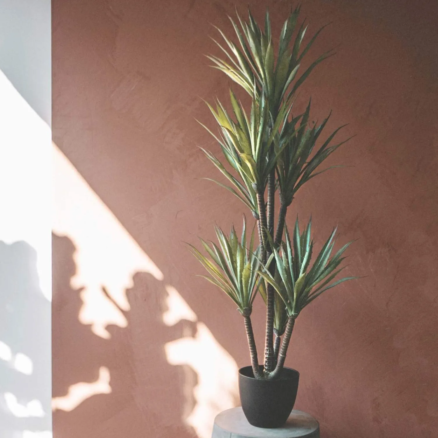 Graham & Green Faux Yucca Plant