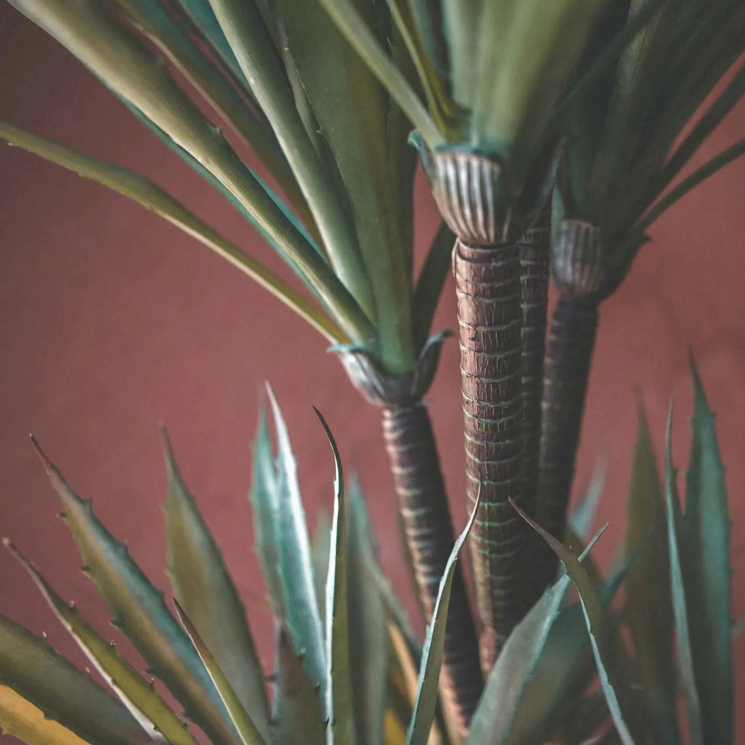 Graham & Green Faux Yucca Plant