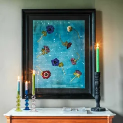 Graham & Green Framed Anemone Pressed Flowers