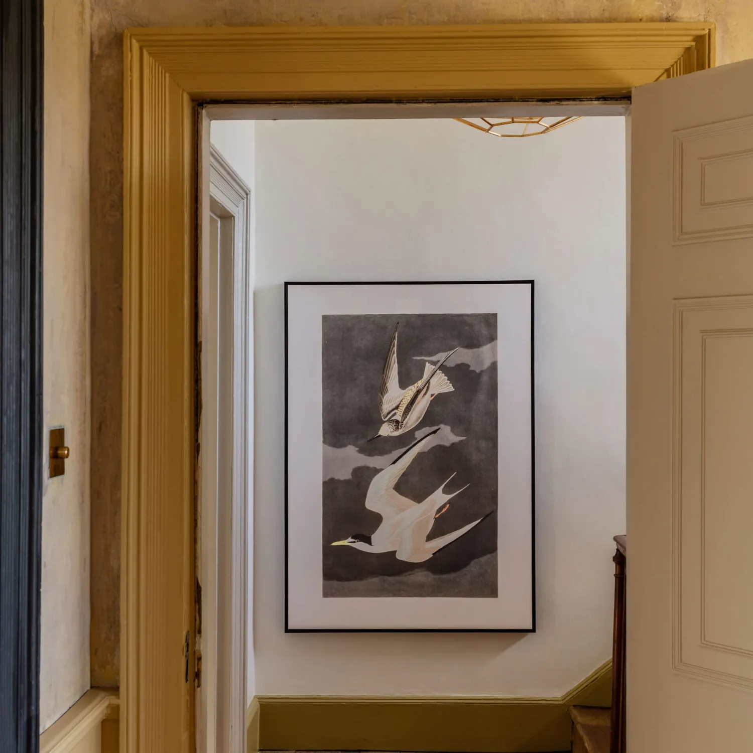 Graham & Green Framed Birds in Flight Print