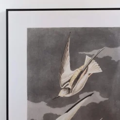 Graham & Green Framed Birds in Flight Print