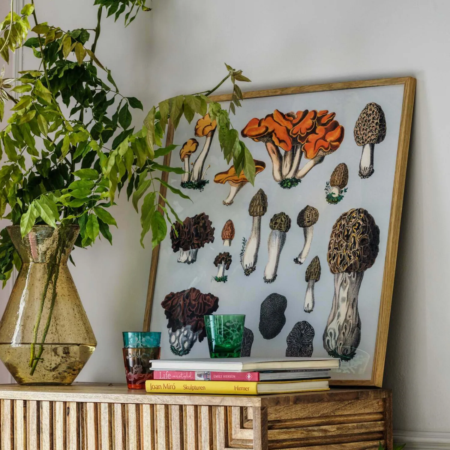 Graham & Green Framed Fungi XII Print