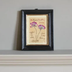 Graham & Green Framed Pelargonium Pressed Flowers