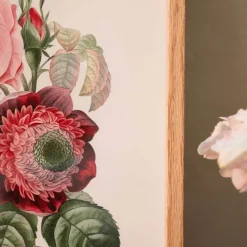 Graham & Green Framed Rose Anemonastrum Clematis Print