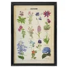 Graham & Green Framed Vintage Flowers Print
