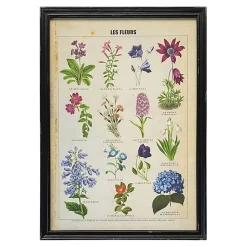 Graham & Green Framed Vintage Flowers Print