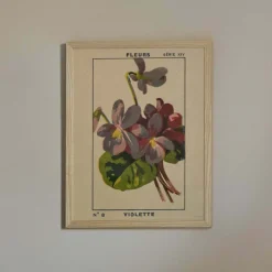 Graham & Green Framed Violet Print