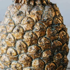 Graham & Green Golden Pineapples