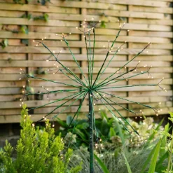 Graham & Green Green Dandelion Light Medium