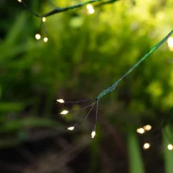 Graham & Green Green Outdoor Dandelion Light Small