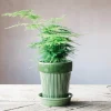 Graham & Green Green Ribbed Glazed Vase