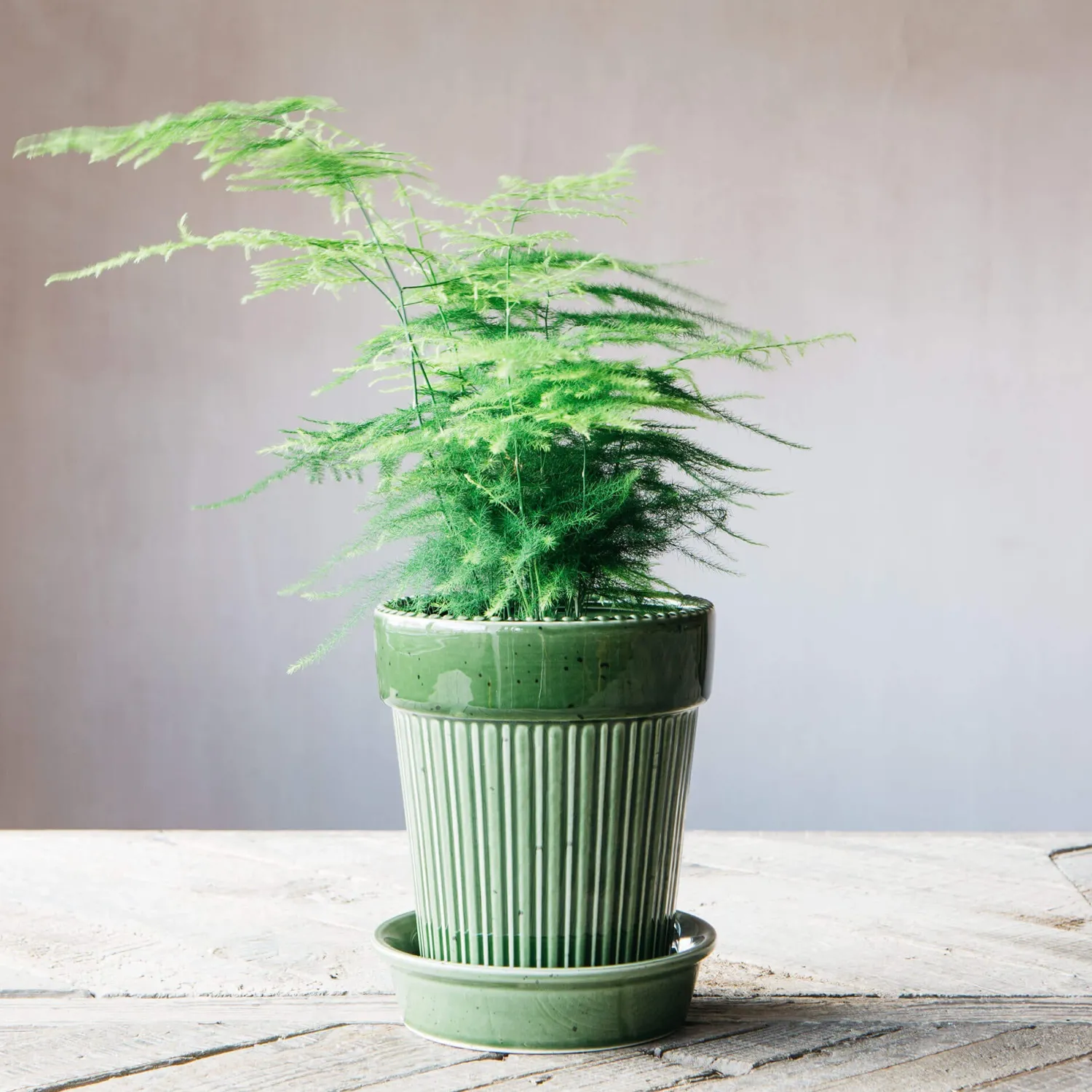 Graham & Green Green Ribbed Glazed Vase