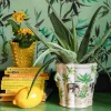 Graham & Green Jungle Elephant Plant Pot