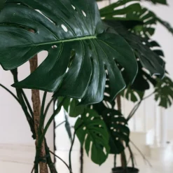 Graham & Green Large Faux Monstera Plant