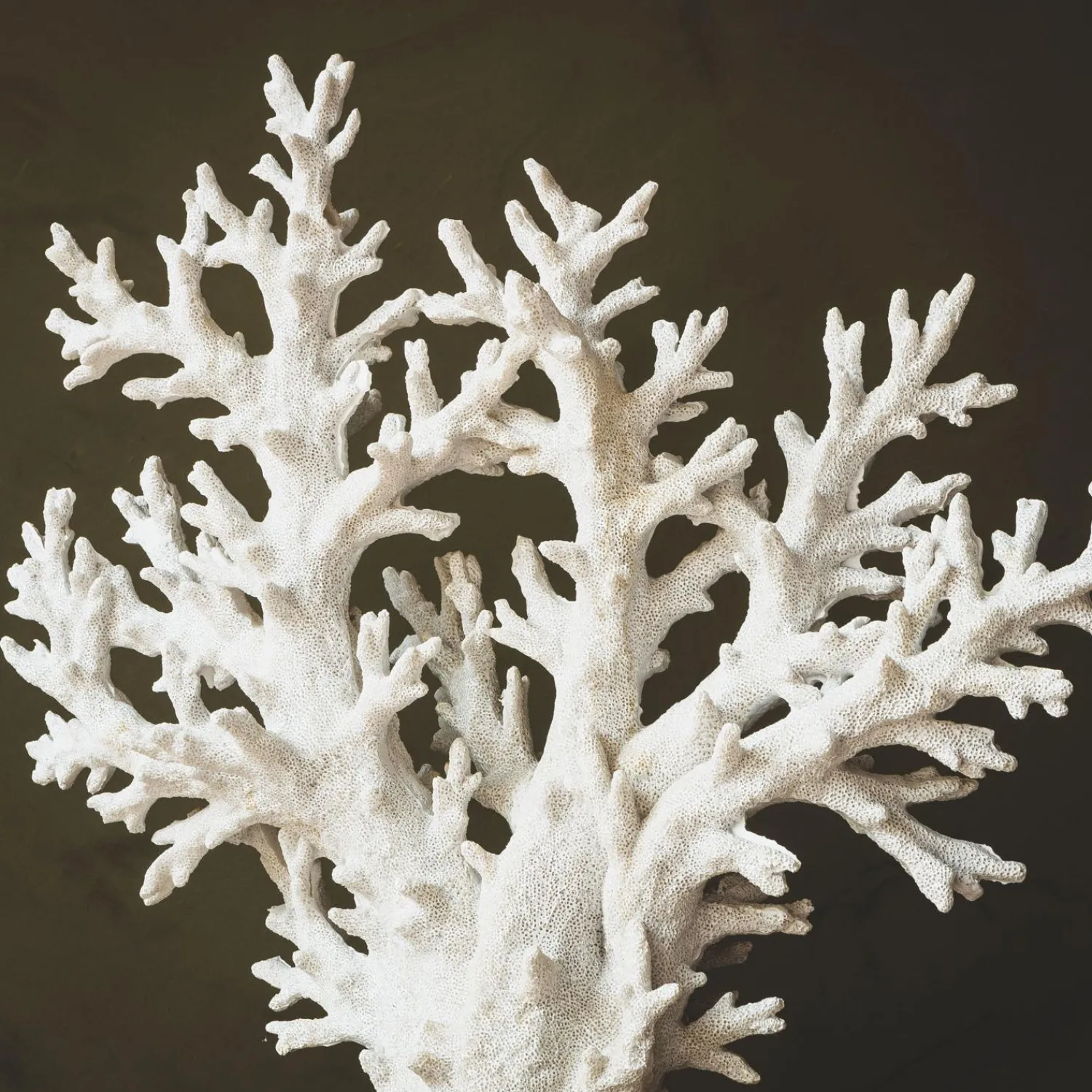 Graham & Green Large Faux White Coral Tree
