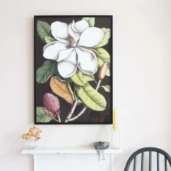 Graham & Green Medium Framed Blooming Magnolia Print
