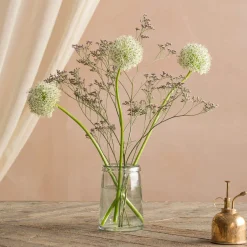 Graham & Green Mickleton Clear Glass Vases