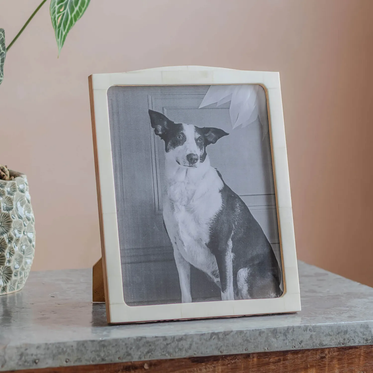 Graham & Green Natural Bone Arch Photo Frames
