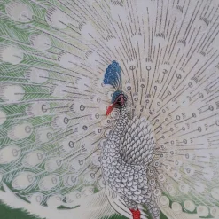 Graham & Green Oak Framed Peacock Prints