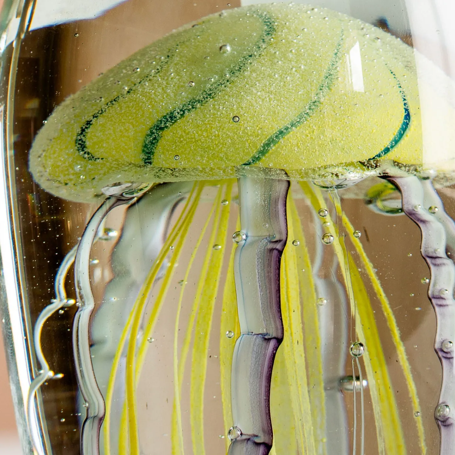 Graham & Green Oval Glass Tiger Jellyfish Paperweight
