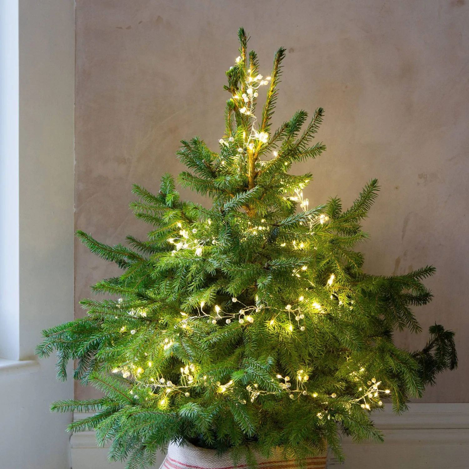Graham & Green Pearl Cluster String Lights