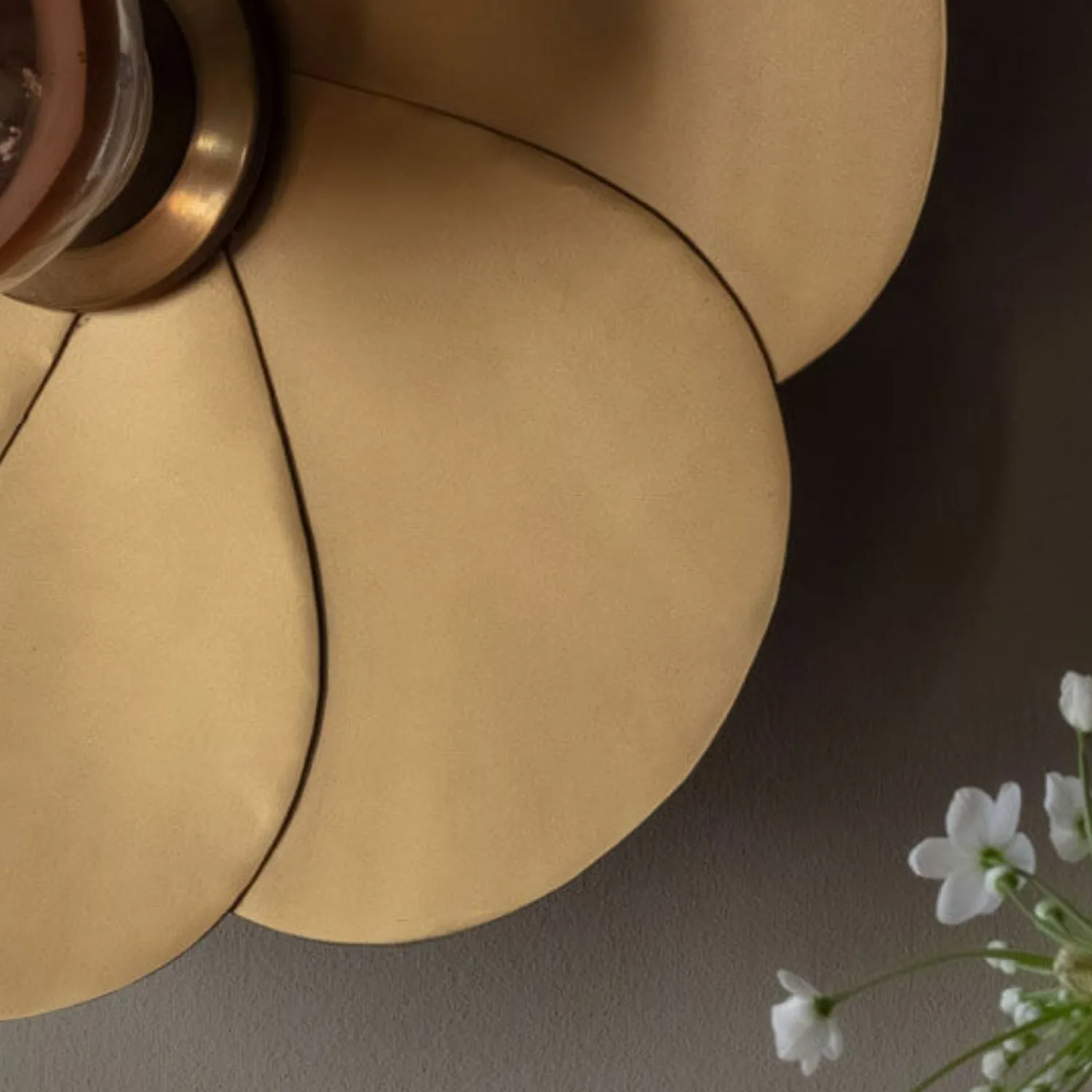 Graham & Green Petal Brass Wall Lamp