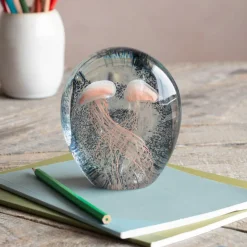 Graham & Green Pink Jellyfish Paperweight