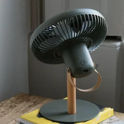 Graham & Green Portable Desk Fans with Lights